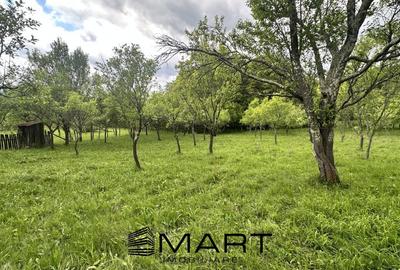 Teren intravilan 3102mp zona Racovita-Blanoiu - 3