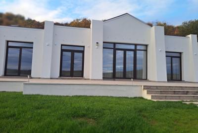 VILA NOUA,MODERNA CU 2100 METRI PATRATI TEREN-VIISOARA - 2