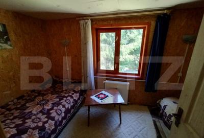 Cabana 4 camere Lunca Bradului - 16