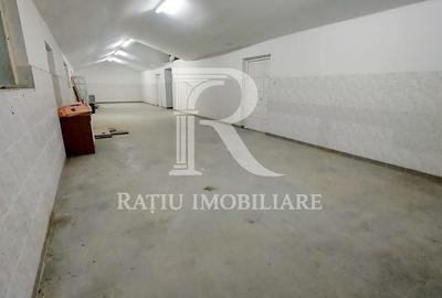 Spațiu comercial, de 850 mp, în Borș - 5