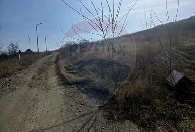 Teren Construcții intravilan de 500 mp, în Calea Romanului - 3