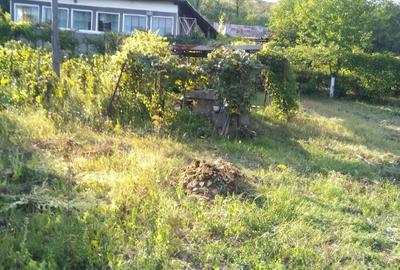 Casă în Dumbrava - 4