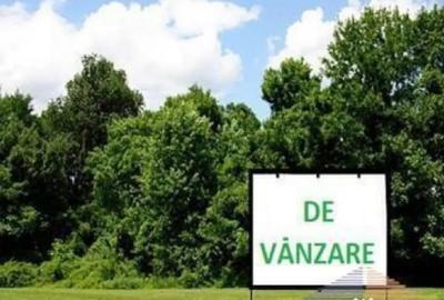 Teren de 12200 mp, în Rădăuți - 3