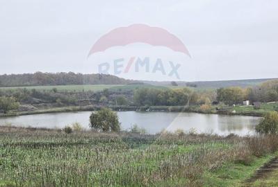 Teren extravilan de 129700 mp, în Iepurești - 3