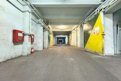 Spațiu industrial, de 6,132 mp, în Aradul Nou - 22