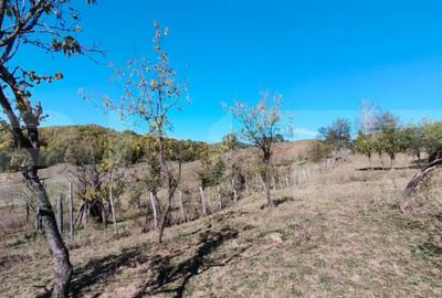 Teren de 7382 mp, în Central