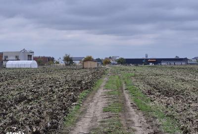 Spațiu comercial, în Balotești - 8