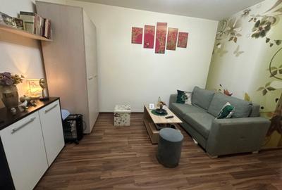 Garsonieră semidecomandată în Pantelimon - 26