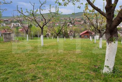 Casă cu 1 camere cu Teren 1824 Mp în Livezeni - 2