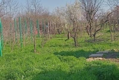 Casă individuală cu 3 camere cu Canalizare în Lilieci - 1