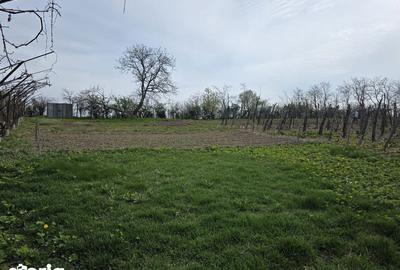 Casă cu 3 camere cu Teren 70 Mp în Secuieni - 5