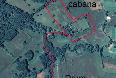 Teren de 12200 mp, în Vicovu de Jos - 4