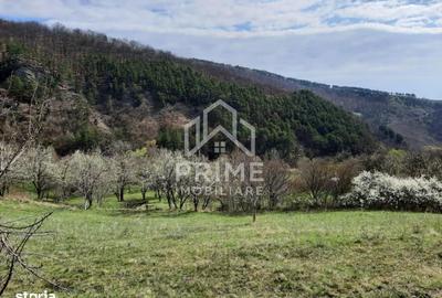 Teren de 13700 mp, în Vințu de Jos - 4