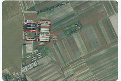Teren industrial Intravilan - toate utilitatile -Teiu -Arges -10 hectare