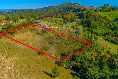 Teren agricol extravilan de 6014 mp, în Holbav - 1