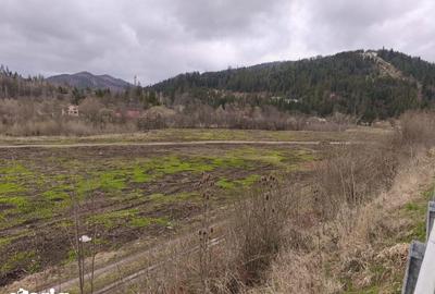 Teren de 22600 mp, în Sucevița - 12