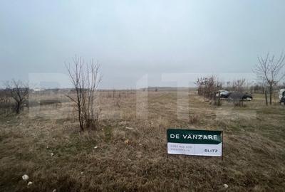 Teren Construcții intravilan de 50000 mp, în Est - 2