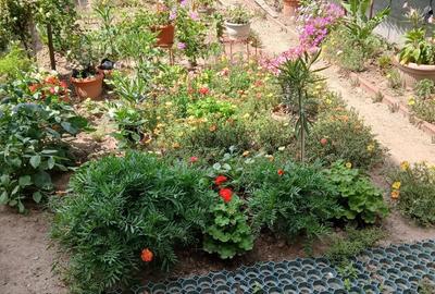 Apartament cu 4 camere decomandat în 14 Mai - 9