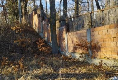 Teren de 4800 mp, în Snagov - 3