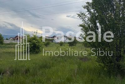 Spațiu comercial, în Central