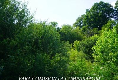 Casă cu 4 camere cu Teren 1730 Mp în Mihăești - 13