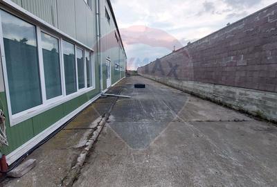 Spațiu industrial, de 880 mp, în Muntenii de Jos - 10