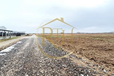 Teren Construcții intravilan de 572 mp, în Urseni - 7