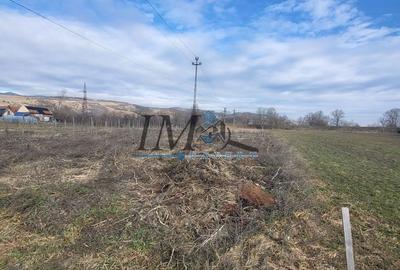 Spațiu comercial, în Mereteu