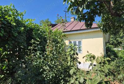 Casă cu 3 camere cu Teren 1000 Mp în Cotești - 2