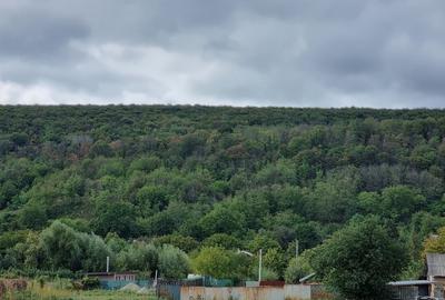 Casa premium! Hemeiusi 3 dormitoare,3 bai , terasa beci - 3