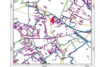 Teren agricol intravilan de 5000 mp, în Ciorogârla - 3