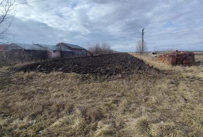 Teren de 7500 mp, în Vornicenii Mici - 3