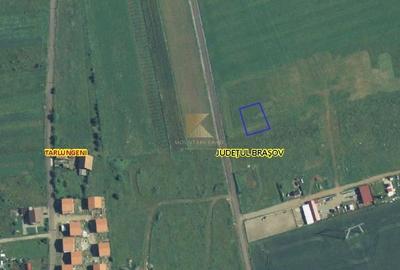 Teren intravilan 722 mp PUZ/ Posibilitate schimb imobiliar - 1