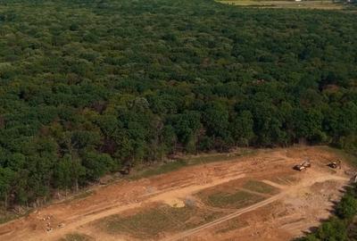 Lot de teren, Izvorani, Snagov! Deschidere la padurea SNAGOV- super promotie - 7