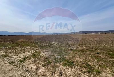 Teren Construcții intravilan de 485 mp, în Cristian - 3