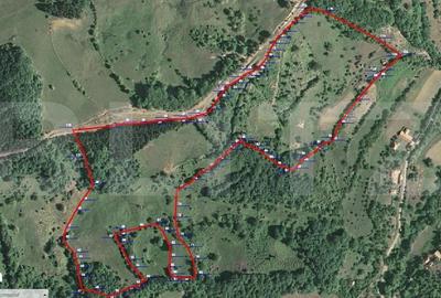 Spațiu comercial, în Poiana Ampoiului - 14