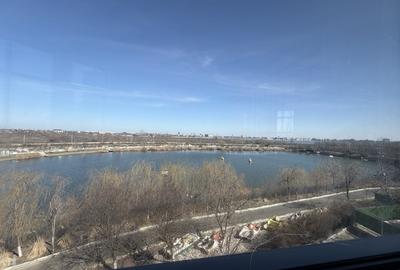 Casă individuală cu 8 camere cu Garaj în Roșu - 20