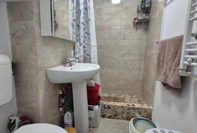Apartament cu 3 camere, mobilat în Theodor Pallady - 8