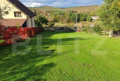 Casă cu 1 camere cu Teren 1824 Mp în Livezeni - 4