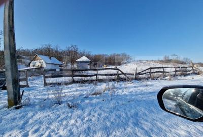 Teren intravilan 7.9 ha. Sandra - 4