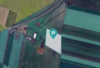 Teren agricol extravilan de 41600 mp, în Sânnicolau Mic - 1