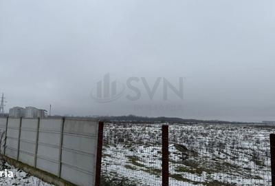 Teren de 43002 mp, în Drumul Taberei - 4