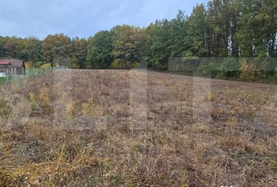 Teren de 2882 mp, în Bejan