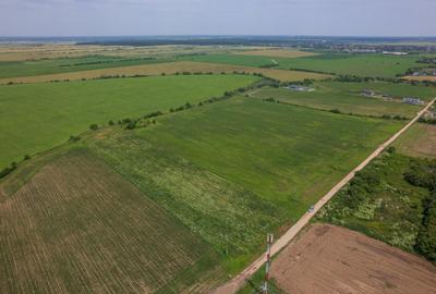 BALOTESTI - SAFTICA, TEREN INTRAVILAN 500 MP, DESCHIDERE 21 - 7