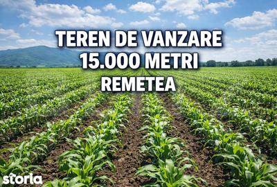 Teren de 15000 mp, în Remetea Mare