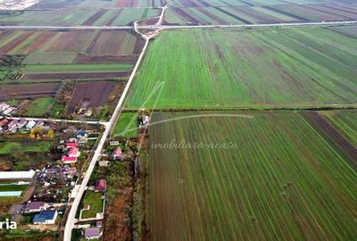 Teren de 113950 mp, în Uliești - 16