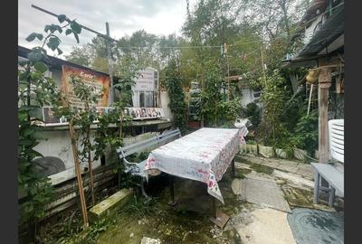 Casa cu garaj in Calnic, 231 mp construiti - 5