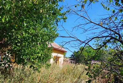 Casă cu 4 camere cu Teren 3500 Mp în Central - 6