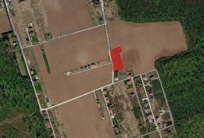 Spațiu comercial, în Ciofliceni - 8