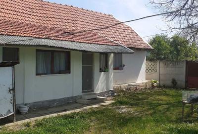 Casă cu 2 camere cu Teren 2489 Mp în Visag - 4